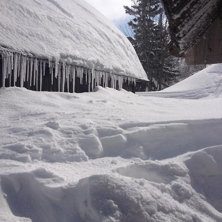 Chalet Tisa Velika Planina Stahovica Kültér fotó