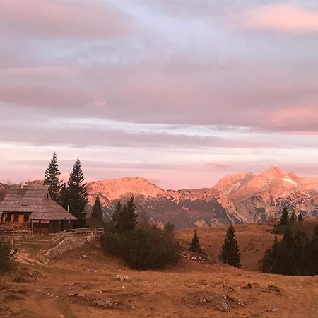 Chalet Tisa Velika Planina Stahovica Kültér fotó