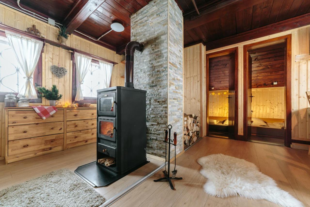 Chalet Tisa Velika Planina Stahovica Kültér fotó