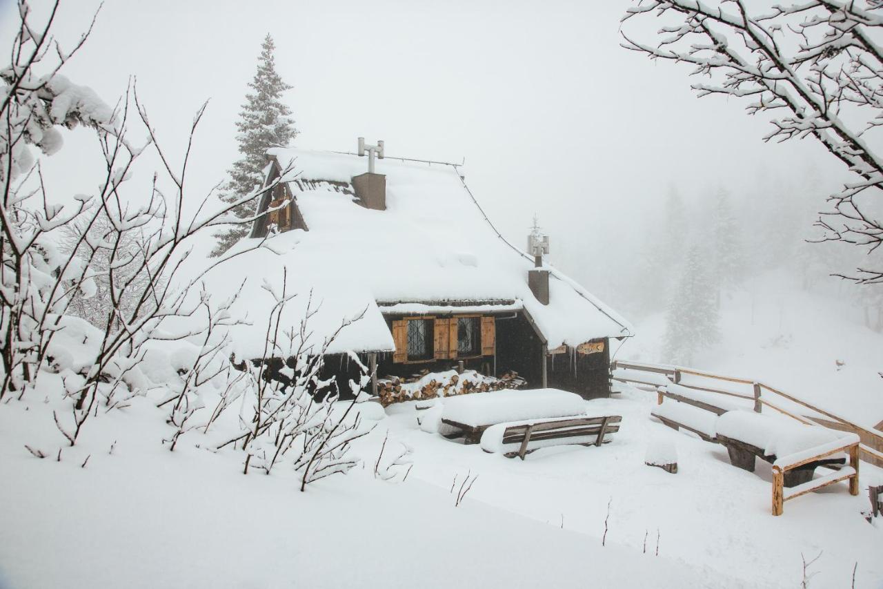 Chalet Tisa Velika Planina Stahovica Kültér fotó