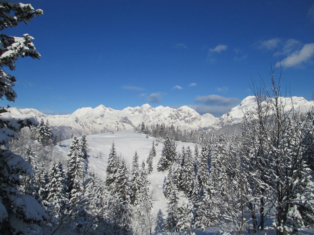 Chalet Tisa Velika Planina Stahovica Szoba fotó