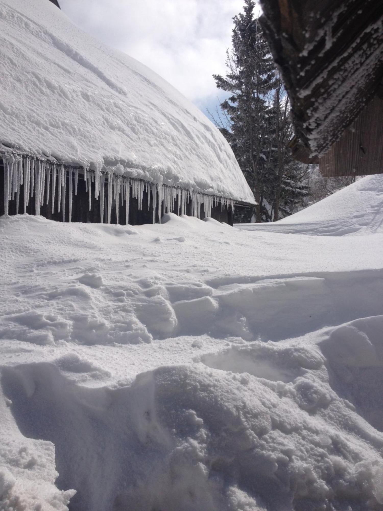 Chalet Tisa Velika Planina Stahovica Kültér fotó