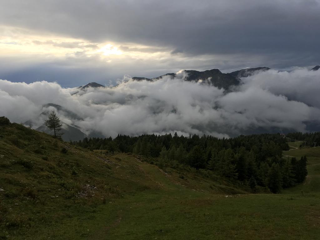 Chalet Tisa Velika Planina Stahovica Kültér fotó