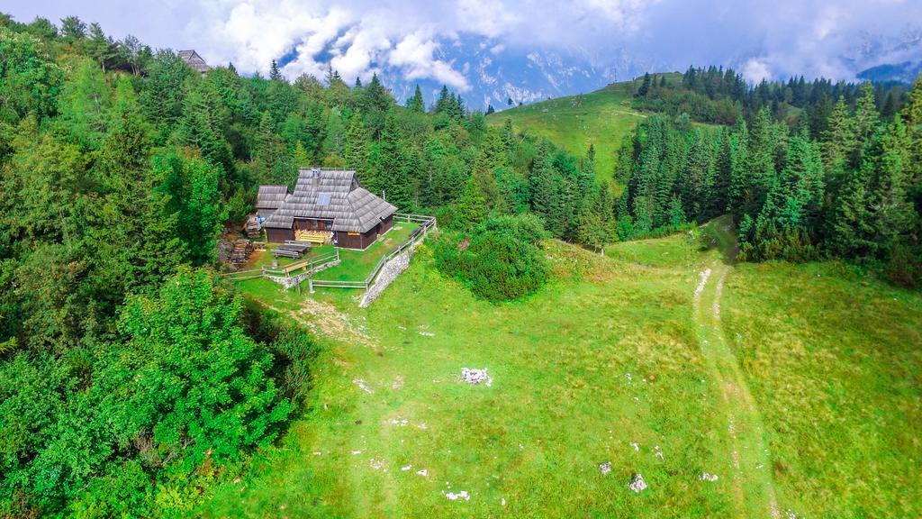 Chalet Tisa Velika Planina Stahovica Kültér fotó