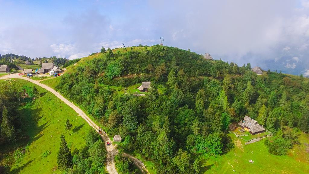 Chalet Tisa Velika Planina Stahovica Kültér fotó