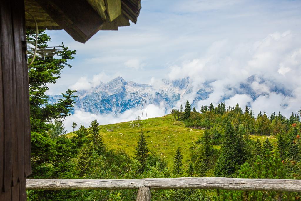 Chalet Tisa Velika Planina Stahovica Kültér fotó