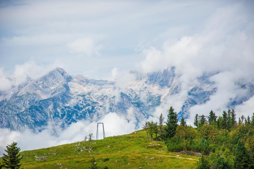 Chalet Tisa Velika Planina Stahovica Kültér fotó