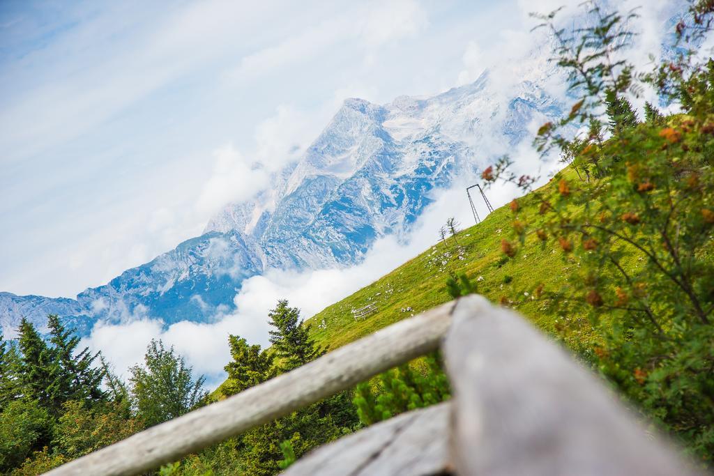 Chalet Tisa Velika Planina Stahovica Kültér fotó