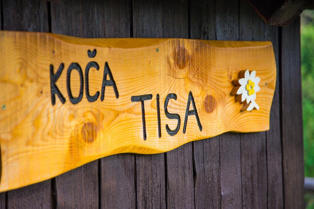 Chalet Tisa Velika Planina Stahovica Kültér fotó