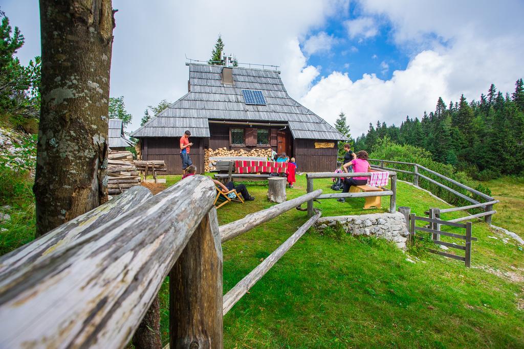 Chalet Tisa Velika Planina Stahovica Kültér fotó