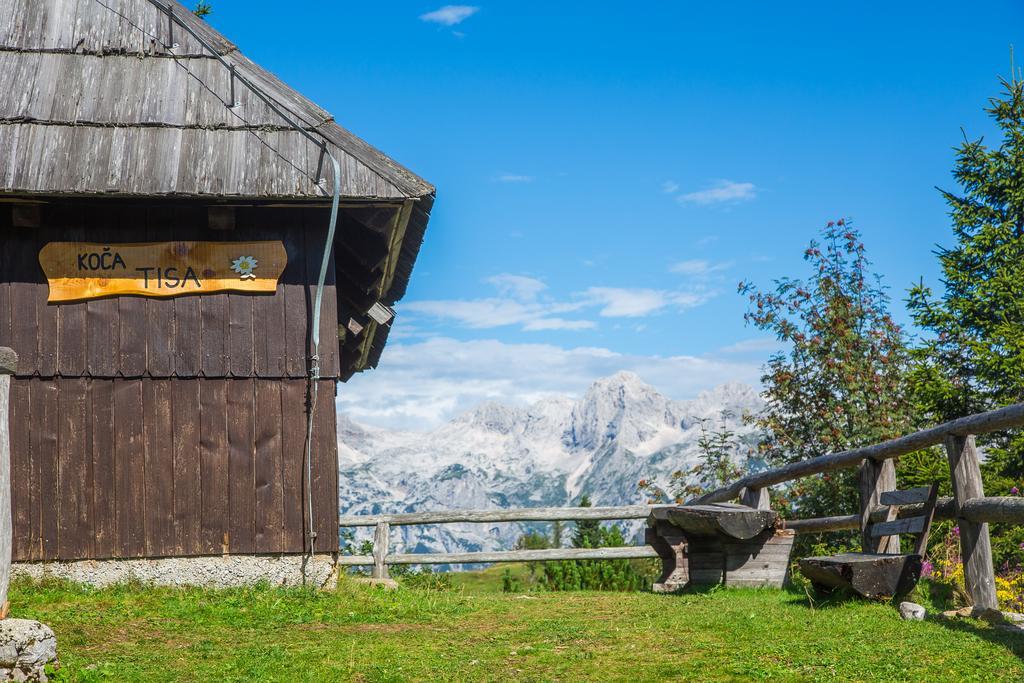 Chalet Tisa Velika Planina Stahovica Kültér fotó