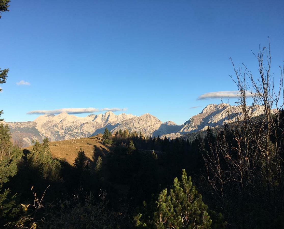 Chalet Tisa Velika Planina Stahovica Kültér fotó