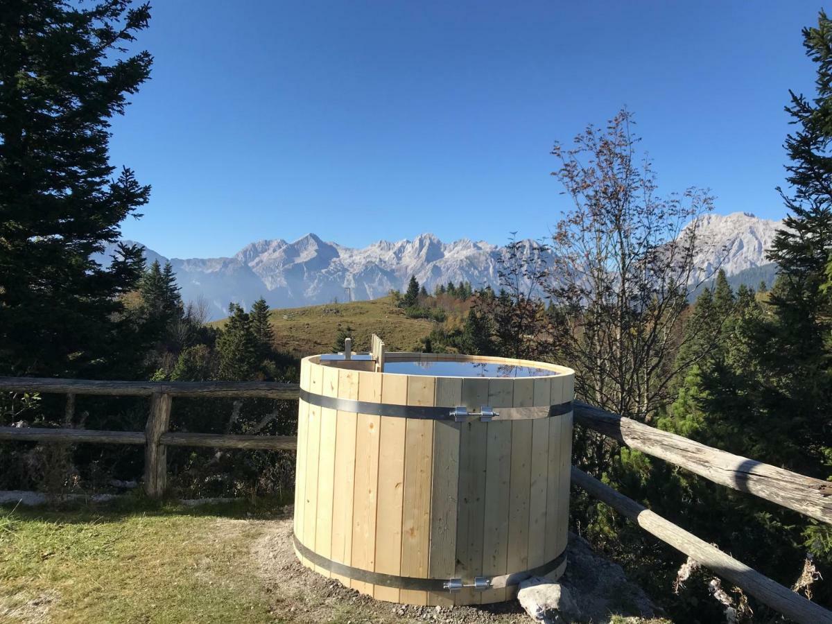 Chalet Tisa Velika Planina Stahovica Kültér fotó